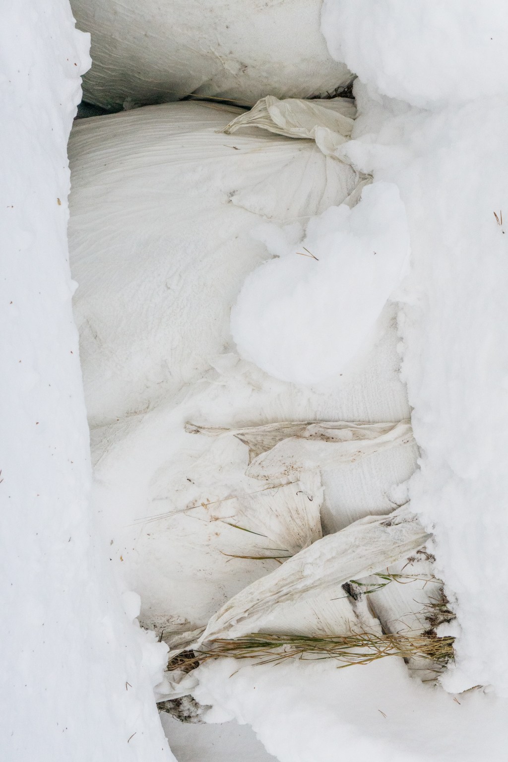 Hankien kätkemä (2023)